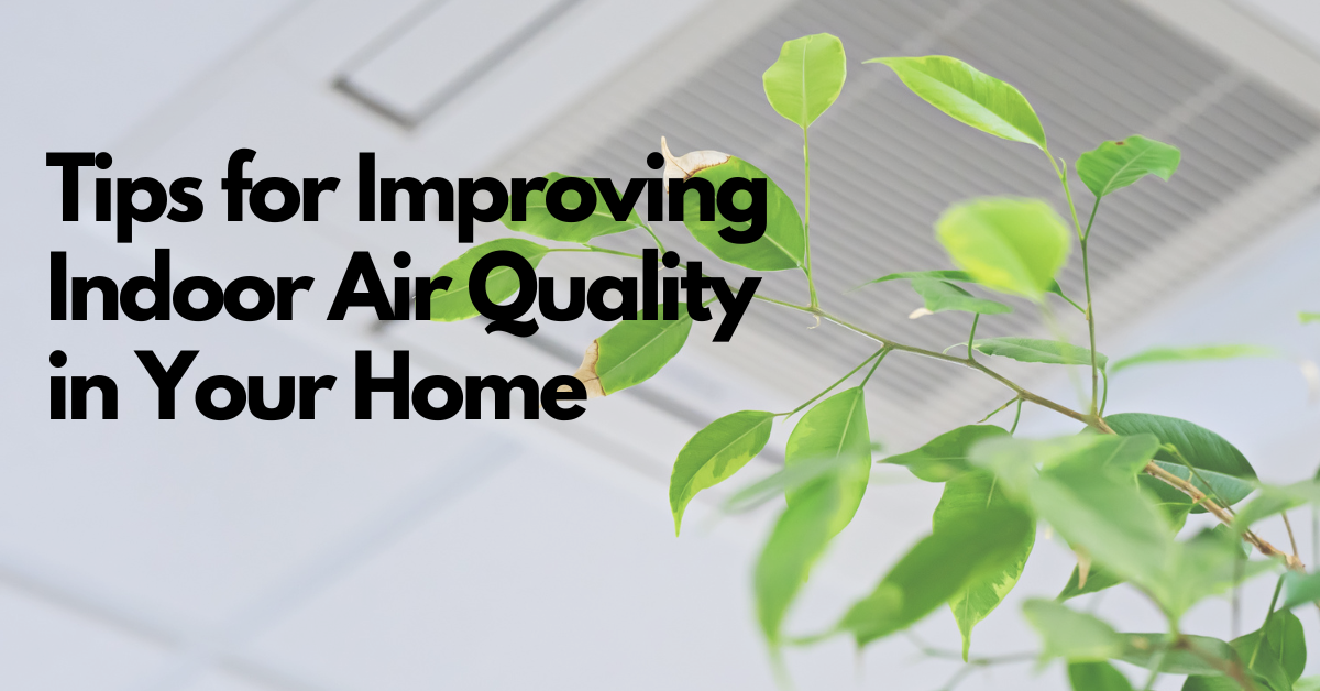 Tips for Improving Indoor Air Quality in Your Home