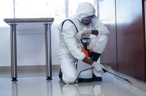 Gold Coast Pest Services