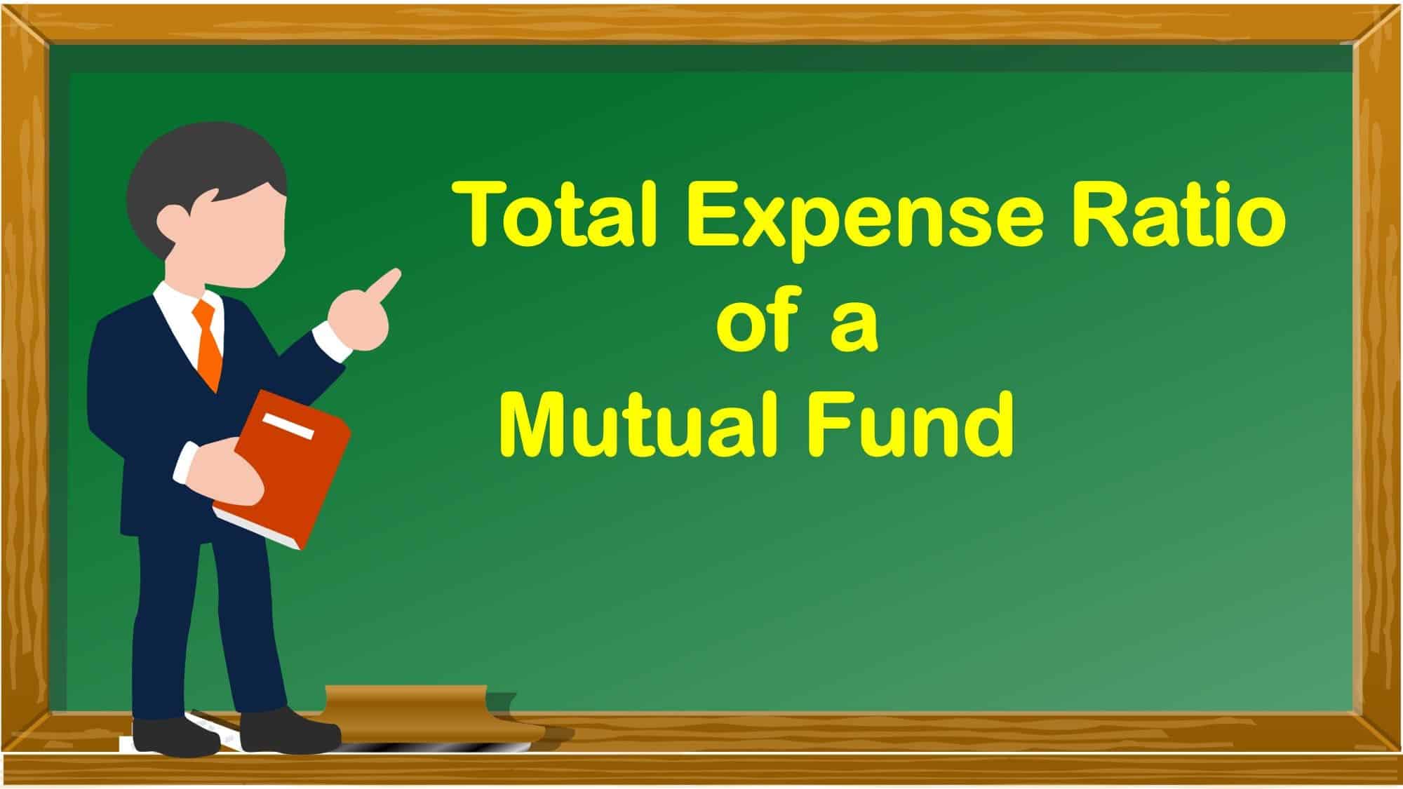 Why Actively Managed Funds Often Have Higher Total Expense Ratio